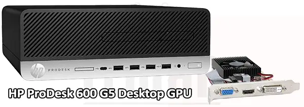 HP ProDesk 600 G5 mini Desktop GPU
