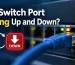 Why Does a Cisco Switch Port Keep Flapping Up and Down